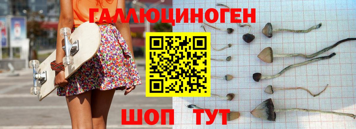 Псилоцибиновые грибы мицелий Мурманск