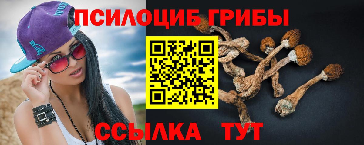 Мурманск  Галлюциногенные грибы Cubensis  Вход с VPN  Галлюциногенные грибы мицелий 