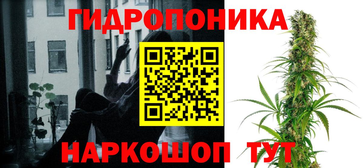 Мурманск  Бошки марихуана сатива  МАРИХУАНА White Widow  Вход с VPN 